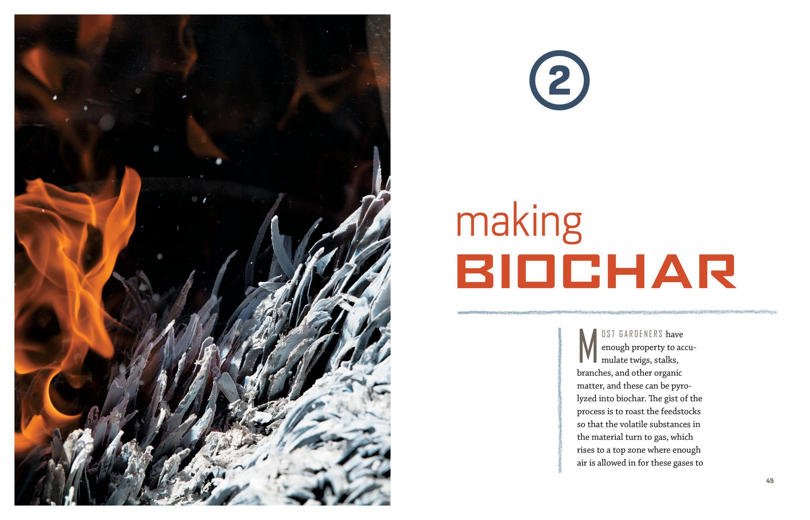 Beispielinhalt (Bild) Gardening with Biochar