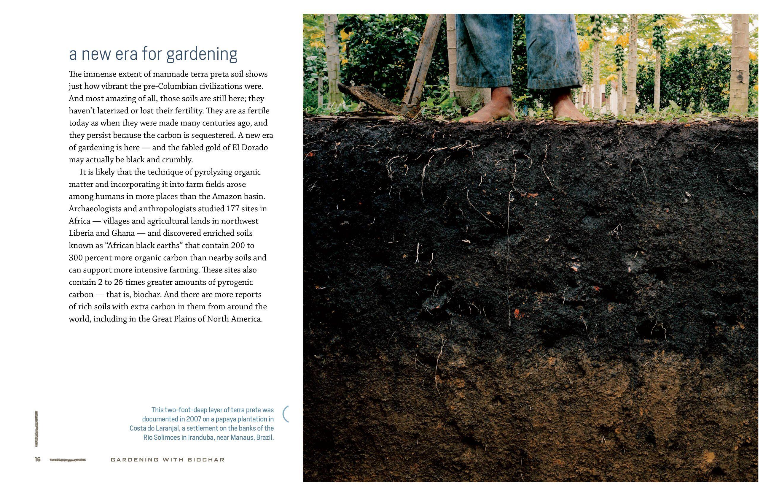 Beispielinhalt (Bild) Gardening with Biochar