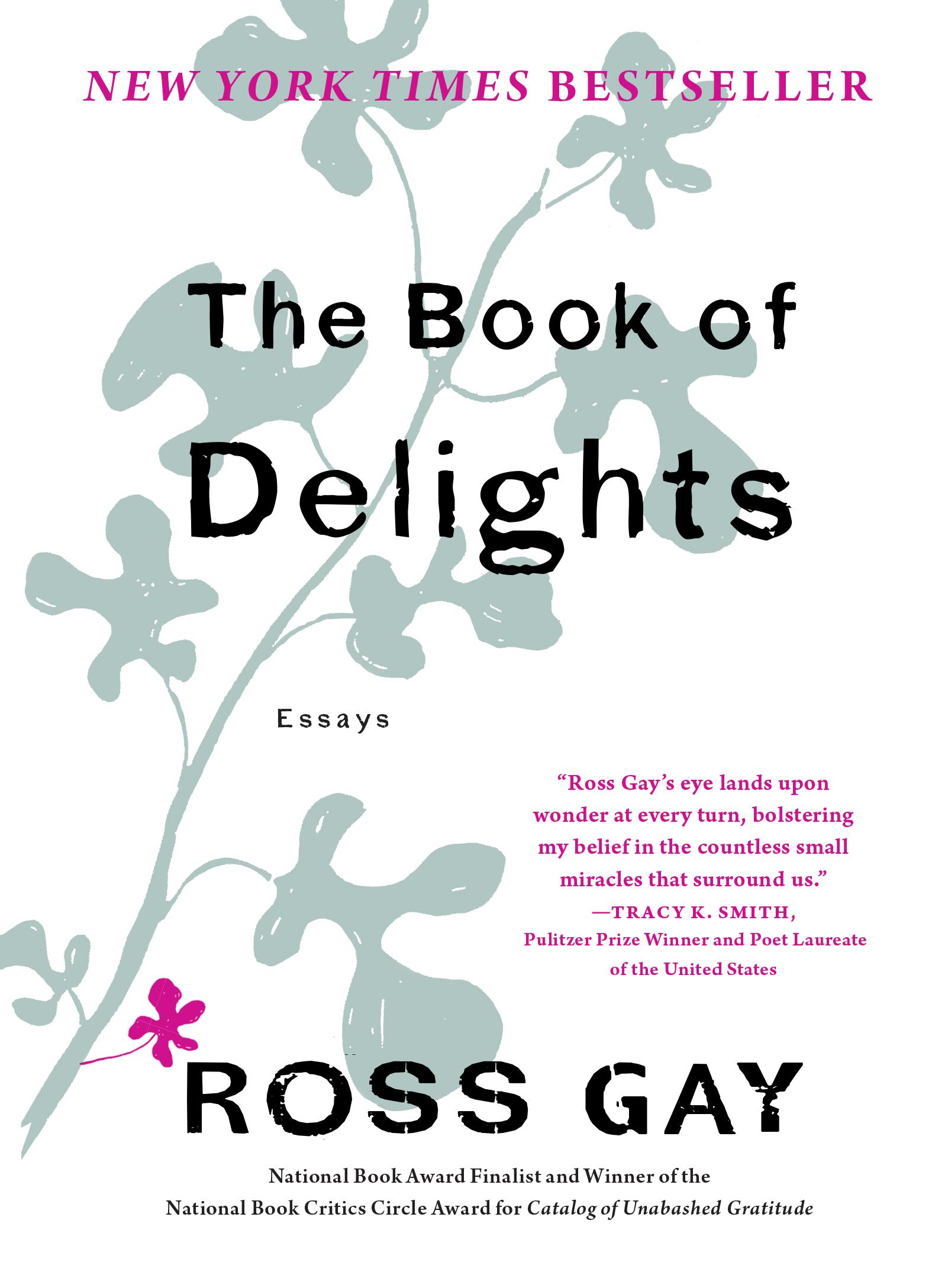 Vorderes Coverbild The Book of Delights