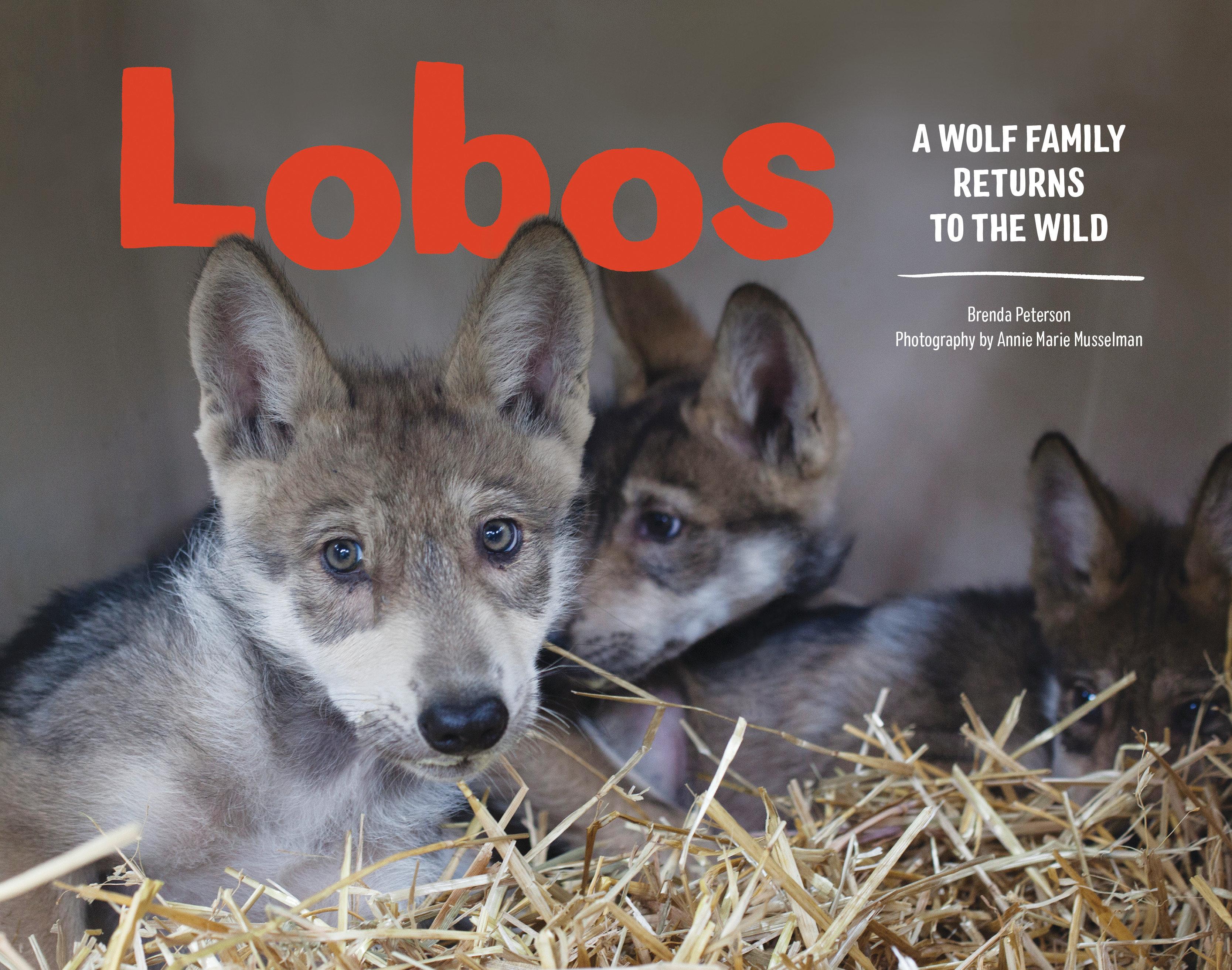 Vorderes Coverbild Lobos