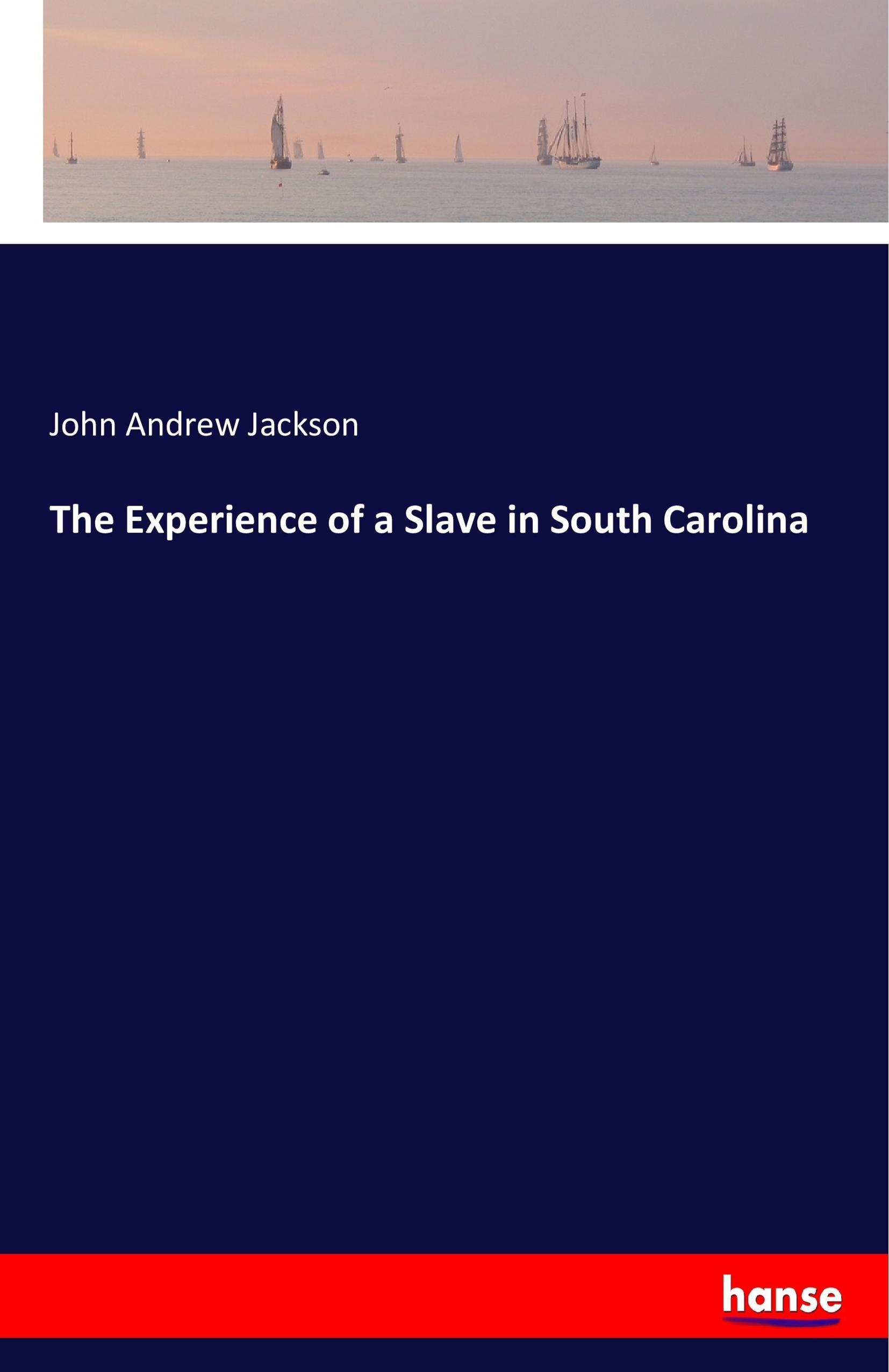 Vorderes Coverbild The Experience of a Slave in South Carolina