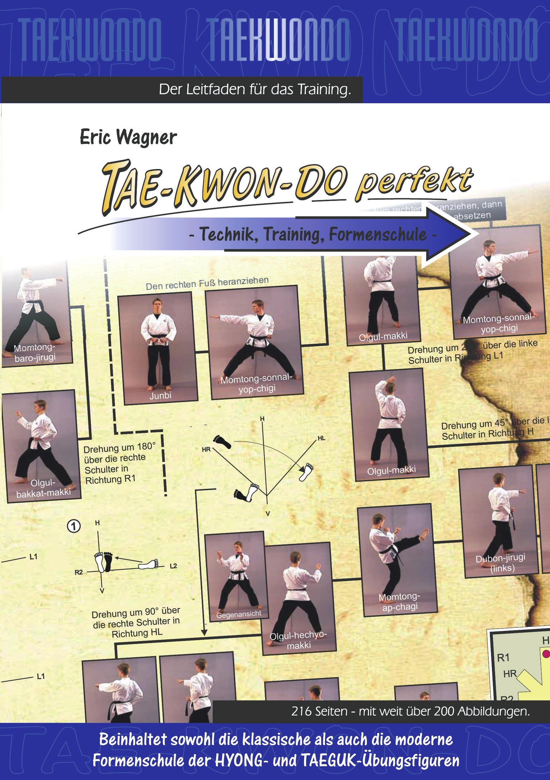 Vorderes Coverbild Tae-Kwon-Do perfekt