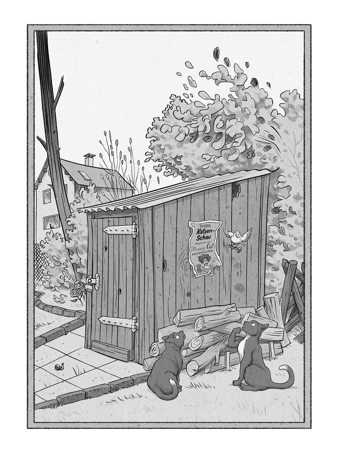 Beispielinhalt (Bild) Othello & Giovanni - Chaos auf der Katzenschau