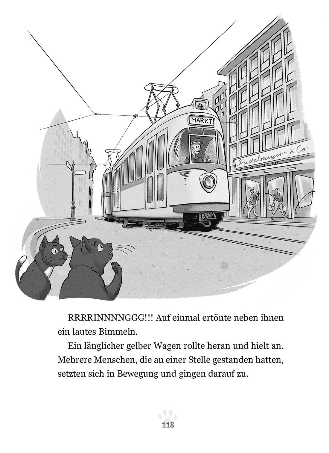 Beispielinhalt (Bild) Othello & Giovanni - Chaos auf der Katzenschau