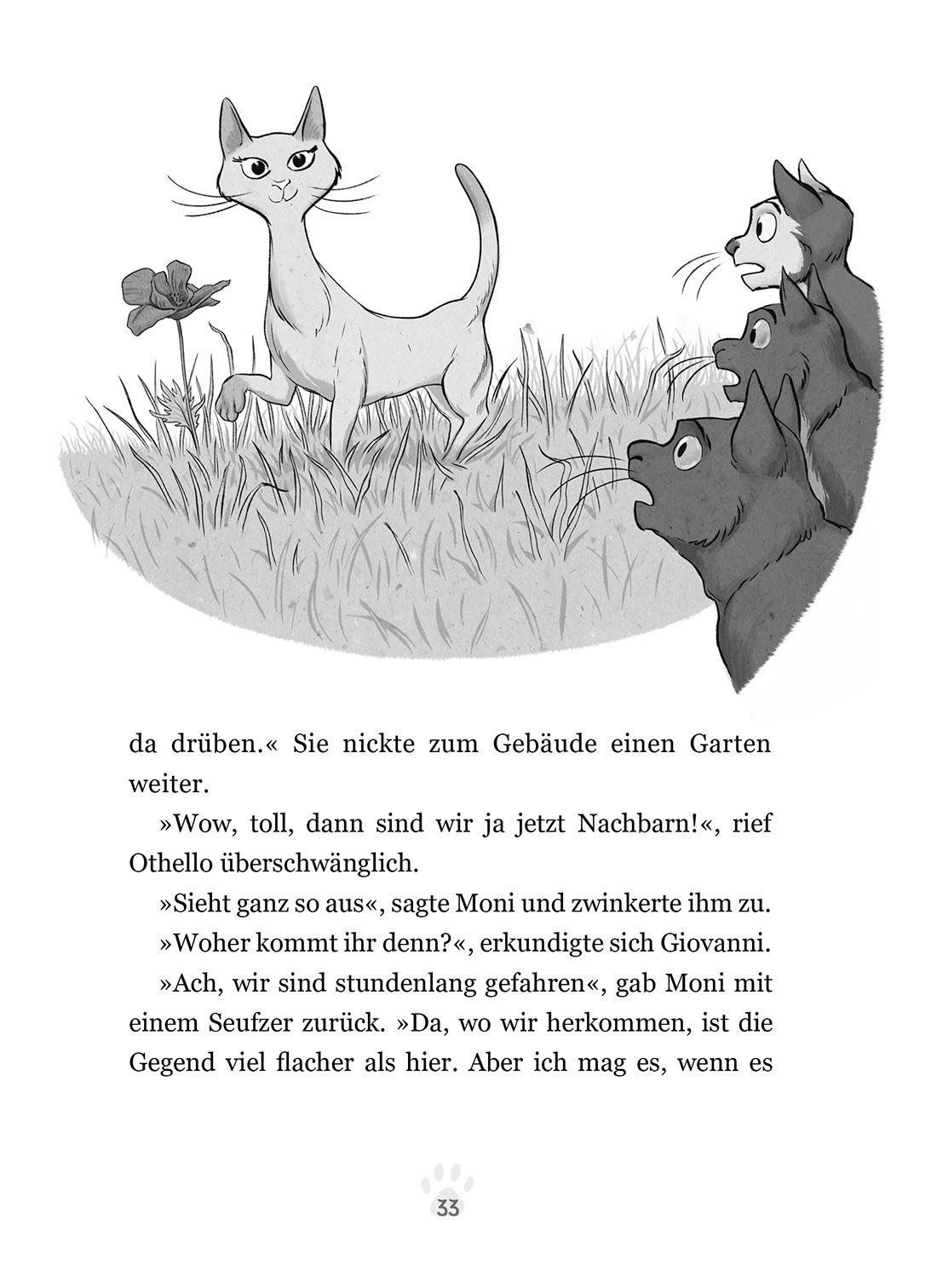 Beispielinhalt (Bild) Othello & Giovanni - Chaos auf der Katzenschau