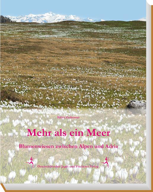 Vorderes Coverbild Mehr als ein Meer