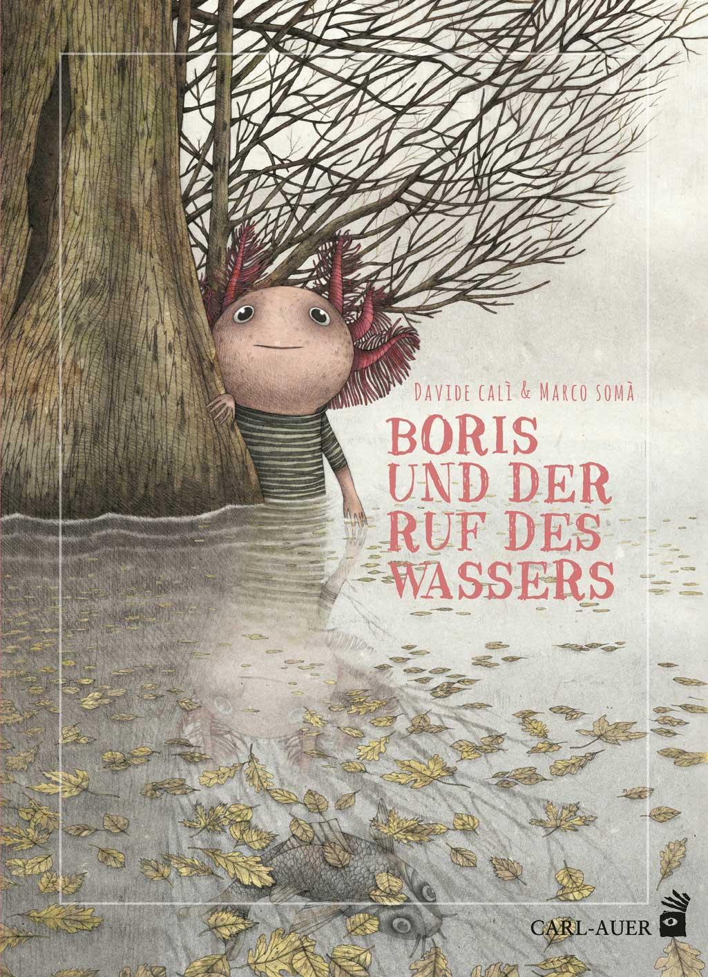 Vorderes Coverbild Boris und der Ruf des Wassers
