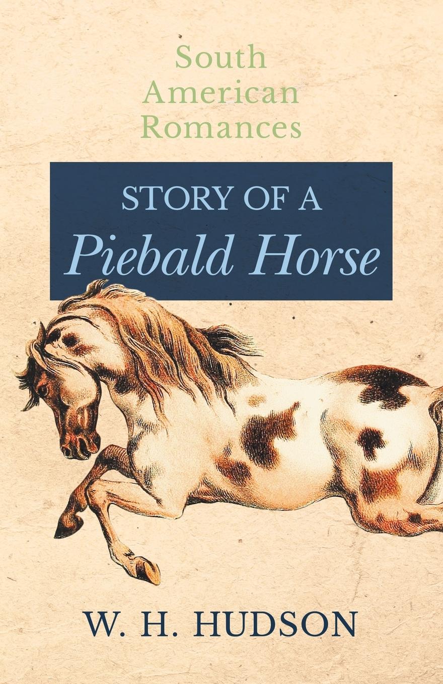 Vorderes Coverbild Story of a Piebald Horse