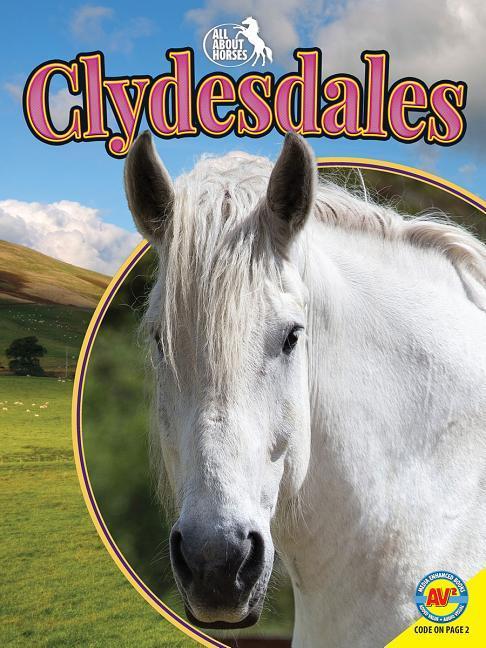 Vorderes Coverbild Clydesdales