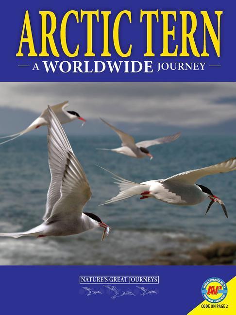 Vorderes Coverbild Arctic Terns: A Worldwide Journey