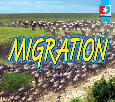 Vorderes Coverbild Migration