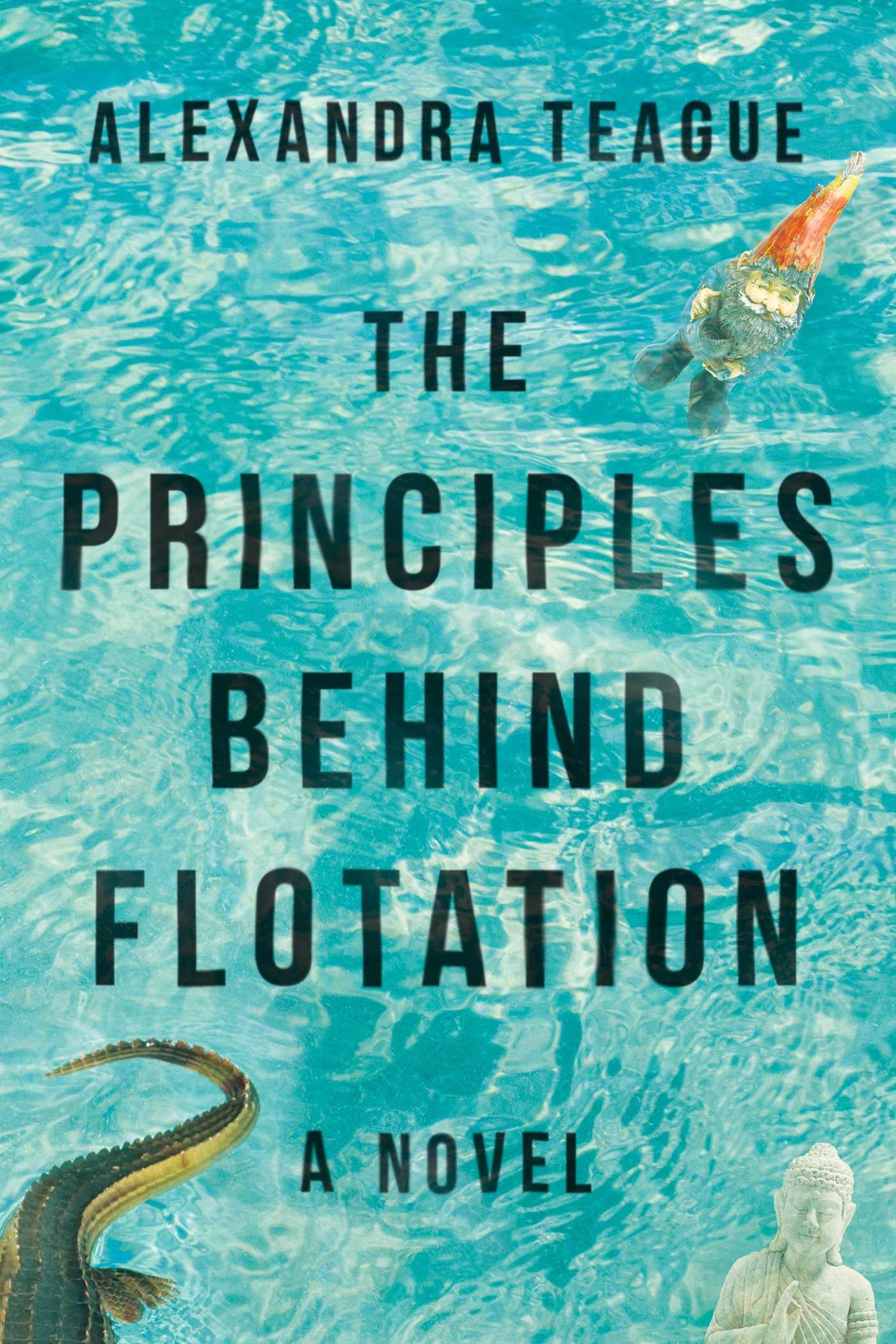 Vorderes Coverbild The Principles Behind Flotation