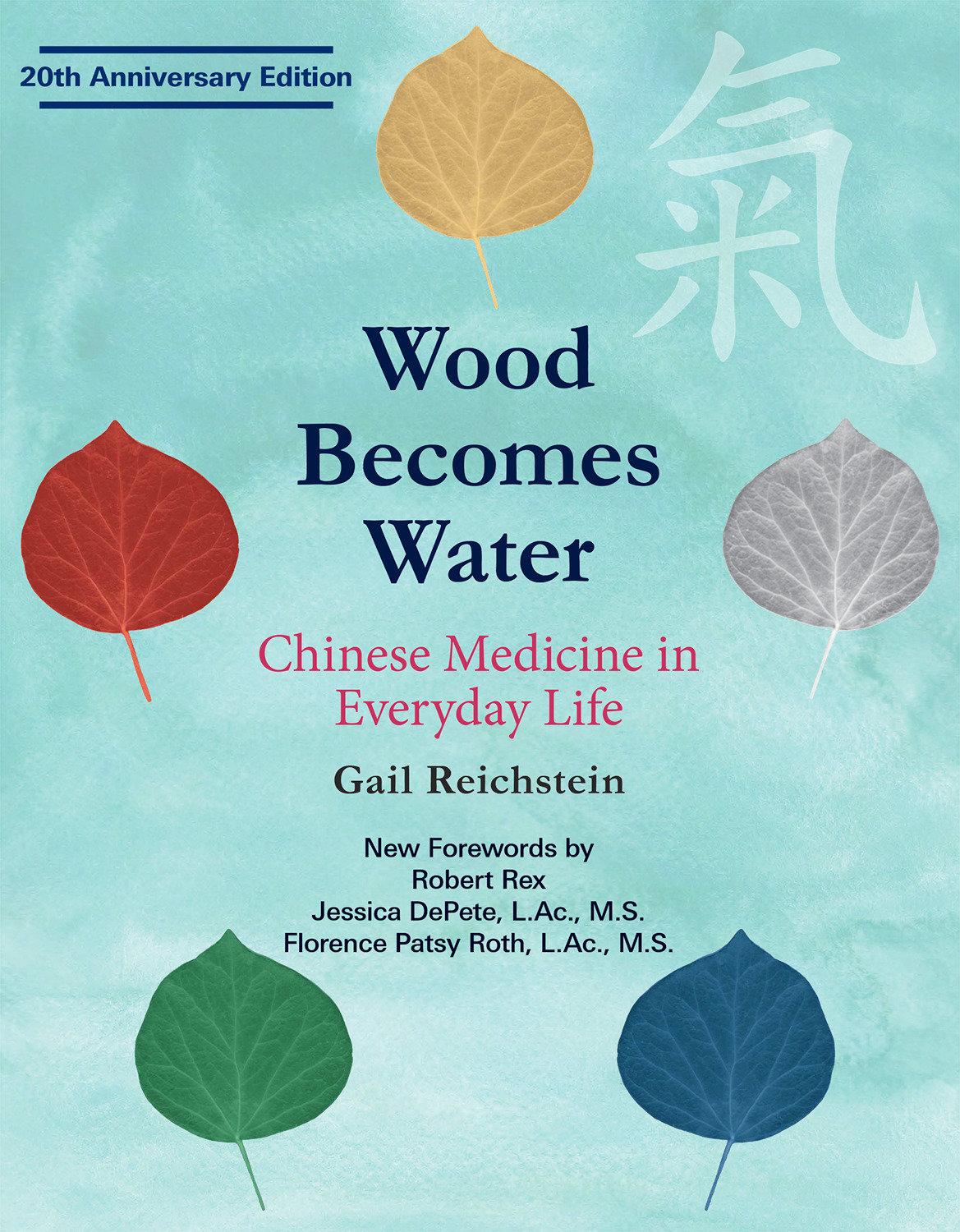 Vorderes Coverbild Wood Becomes Water