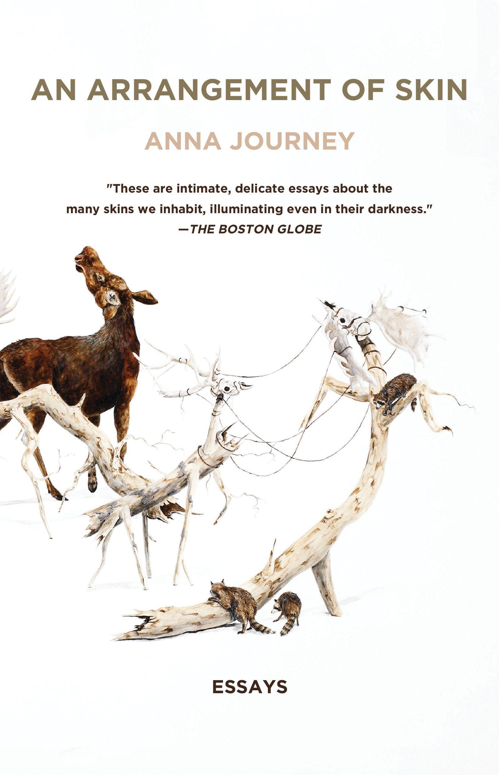 Vorderes Coverbild An Arrangement of Skin