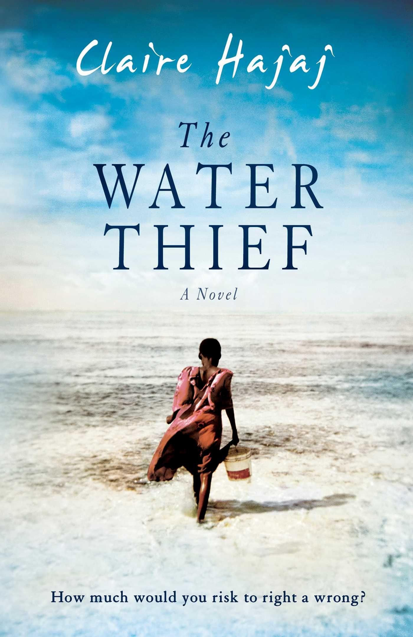 Vorderes Coverbild The Water Thief