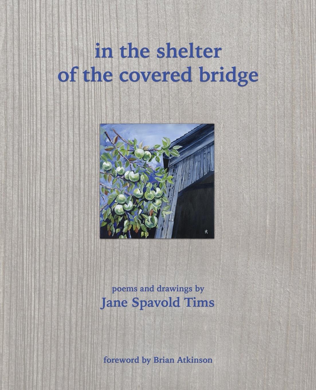 Vorderes Coverbild in the shelter of the covered bridge