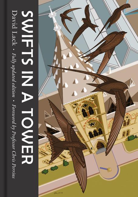 Vorderes Coverbild Swifts in a Tower