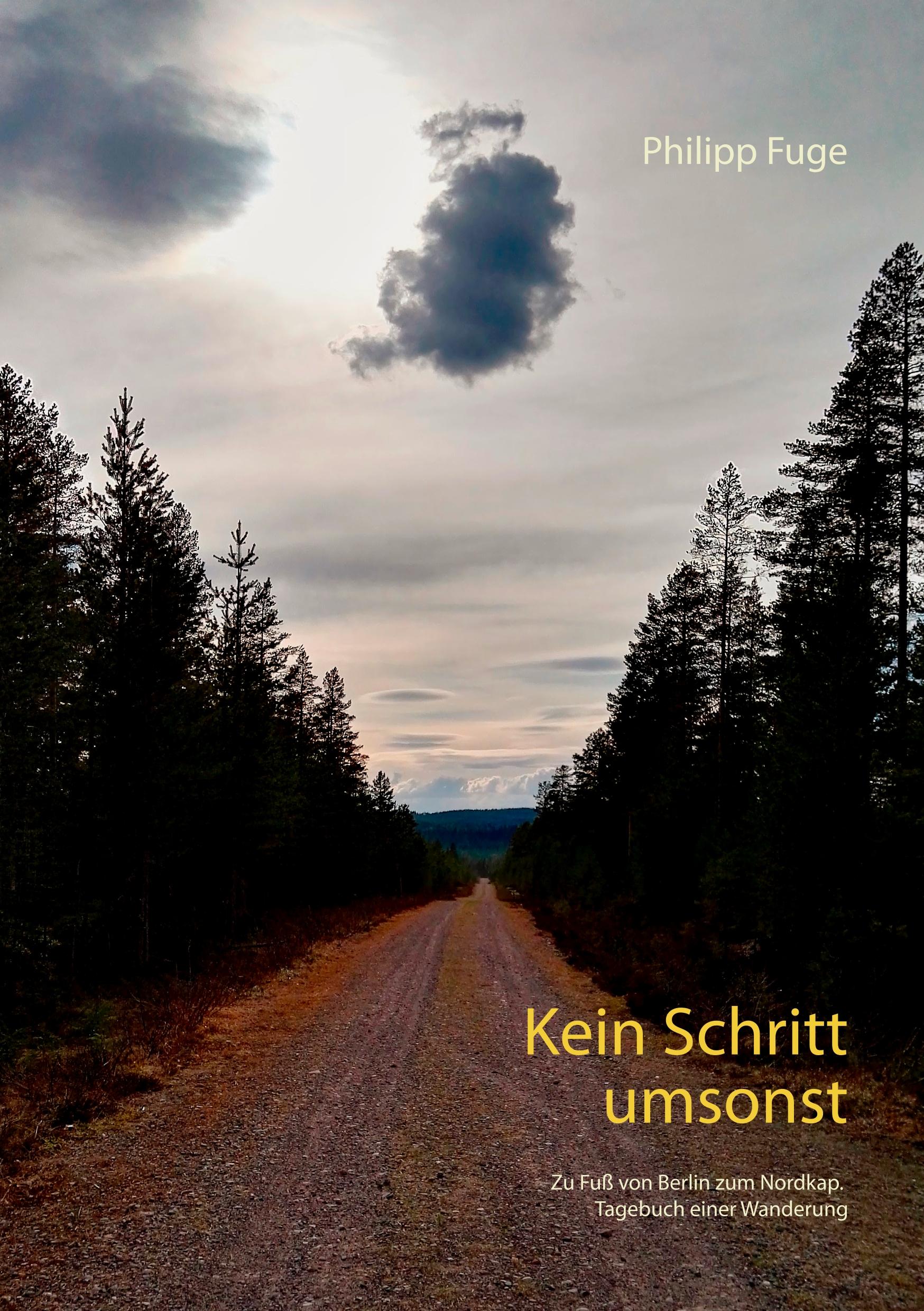 Vorderes Coverbild Kein Schritt umsonst