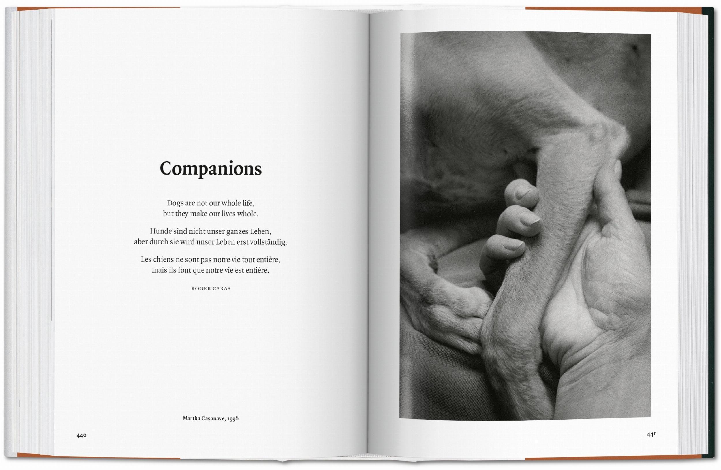 Beispielinhalt (Bild) The Dog in Photography 1839-Today