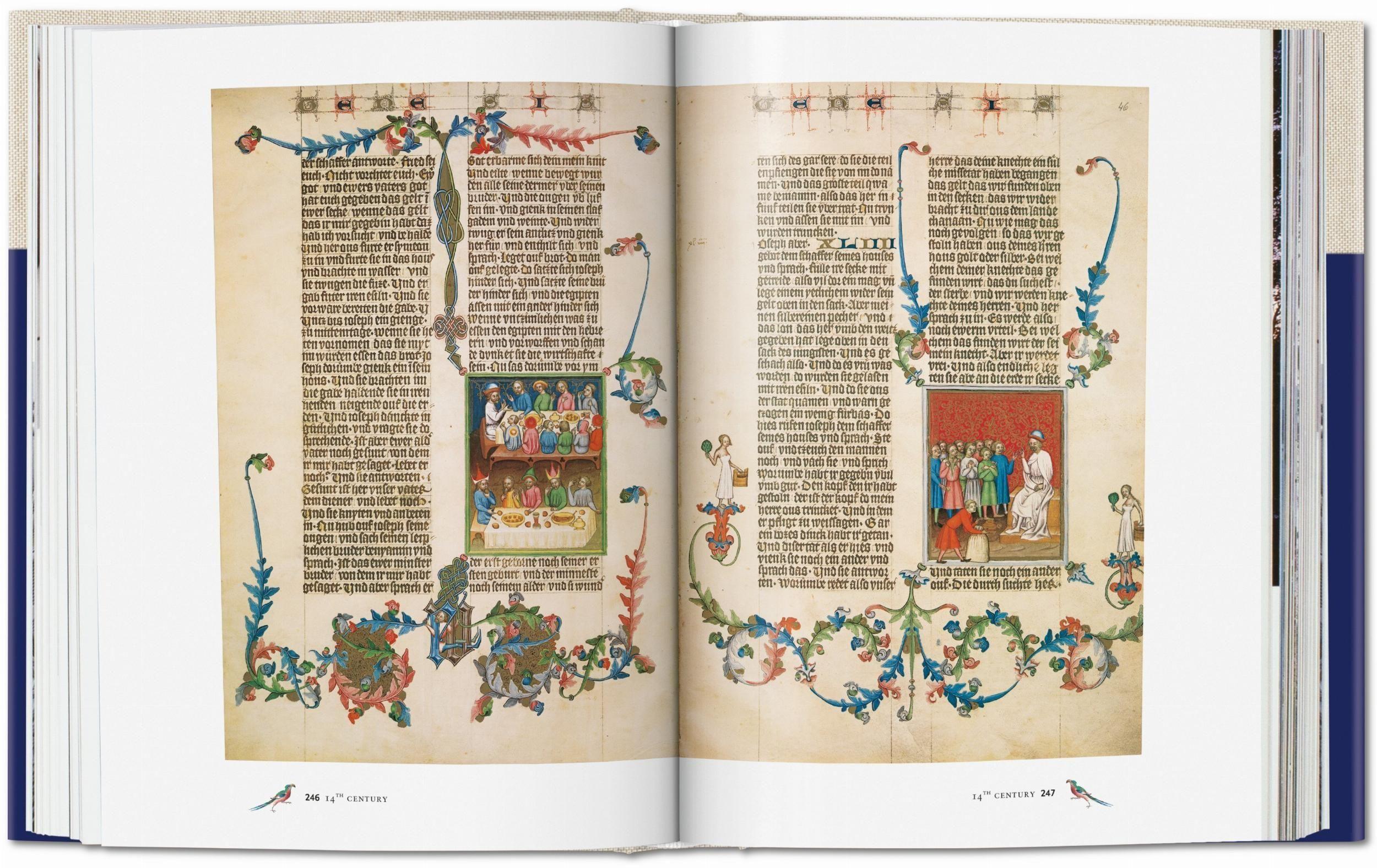 Beispielinhalt (Bild) Codices illustres