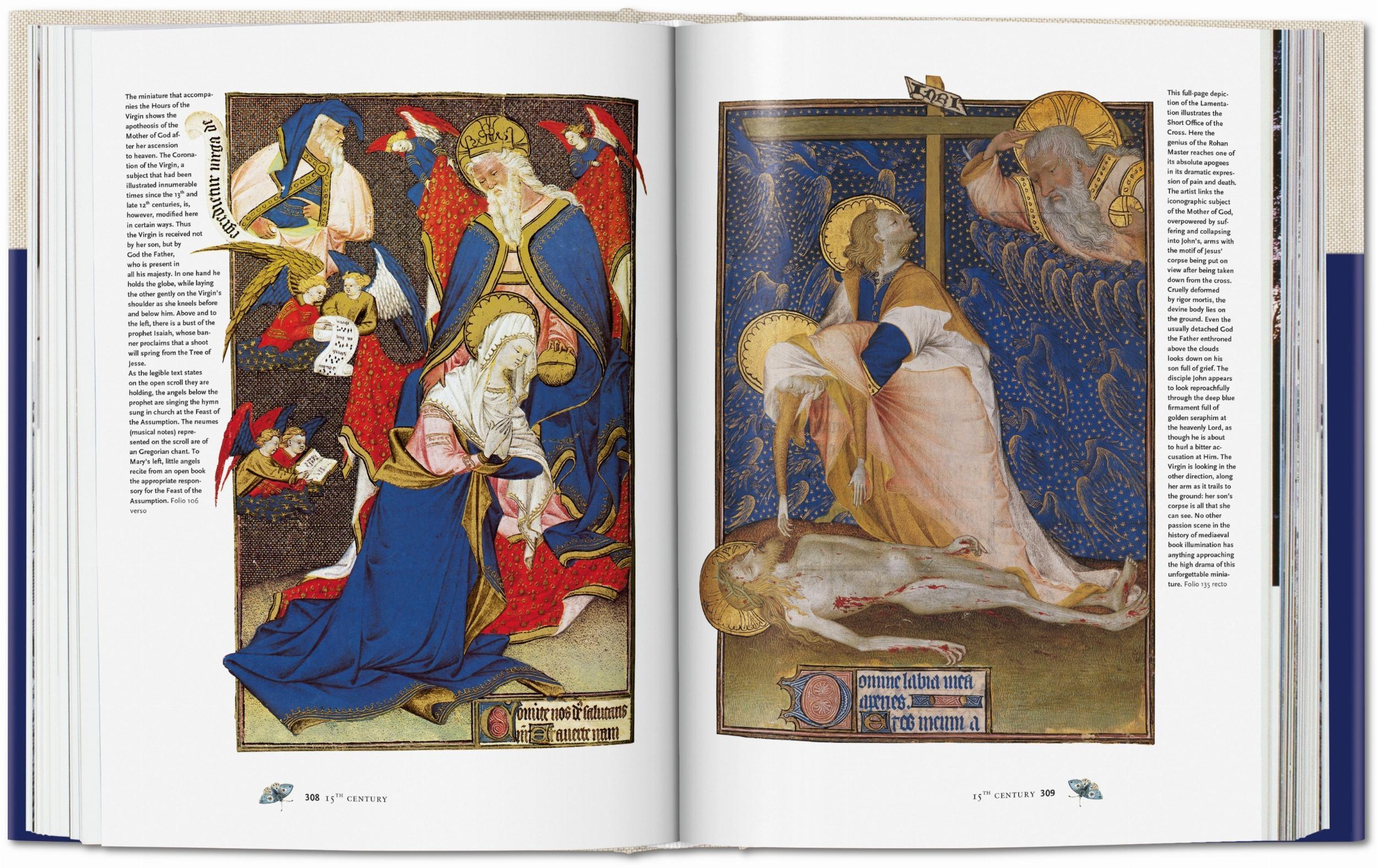 Beispielinhalt (Bild) Codices illustres