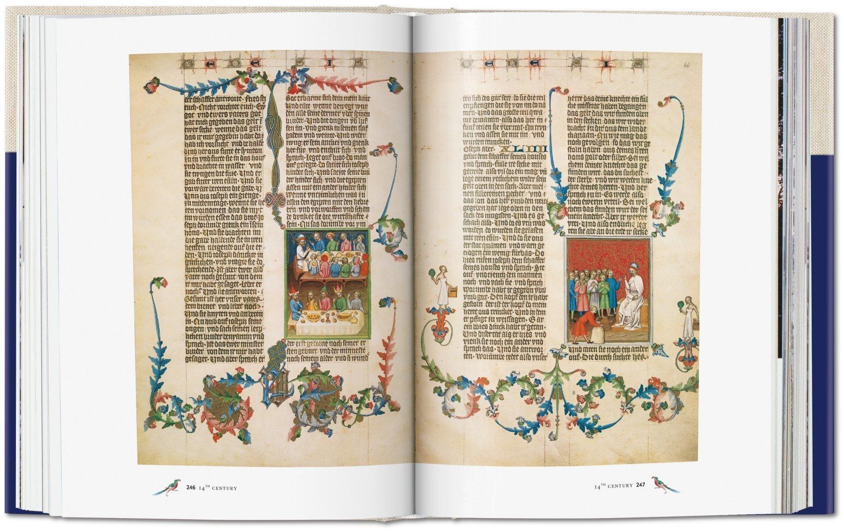 Beispielinhalt (Bild) Codices illustres