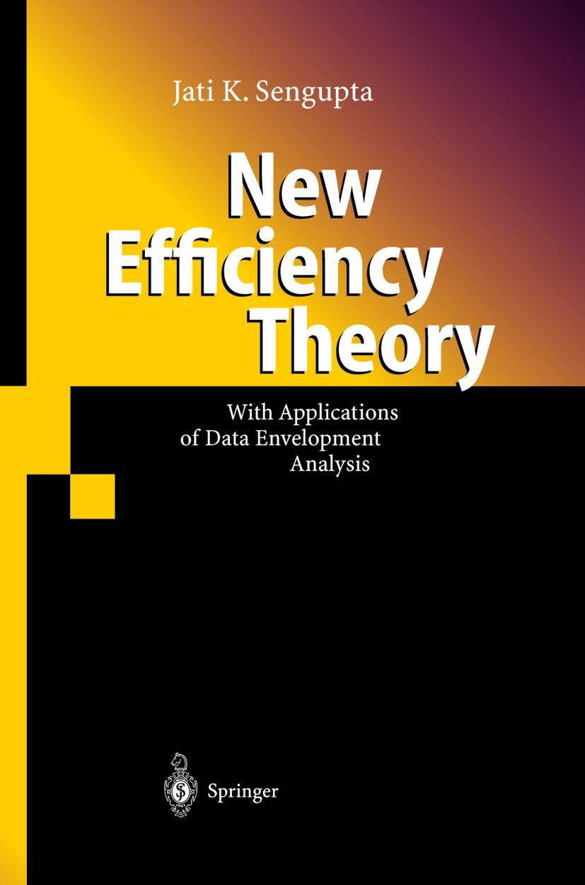 Vorderes Coverbild New Efficiency Theory