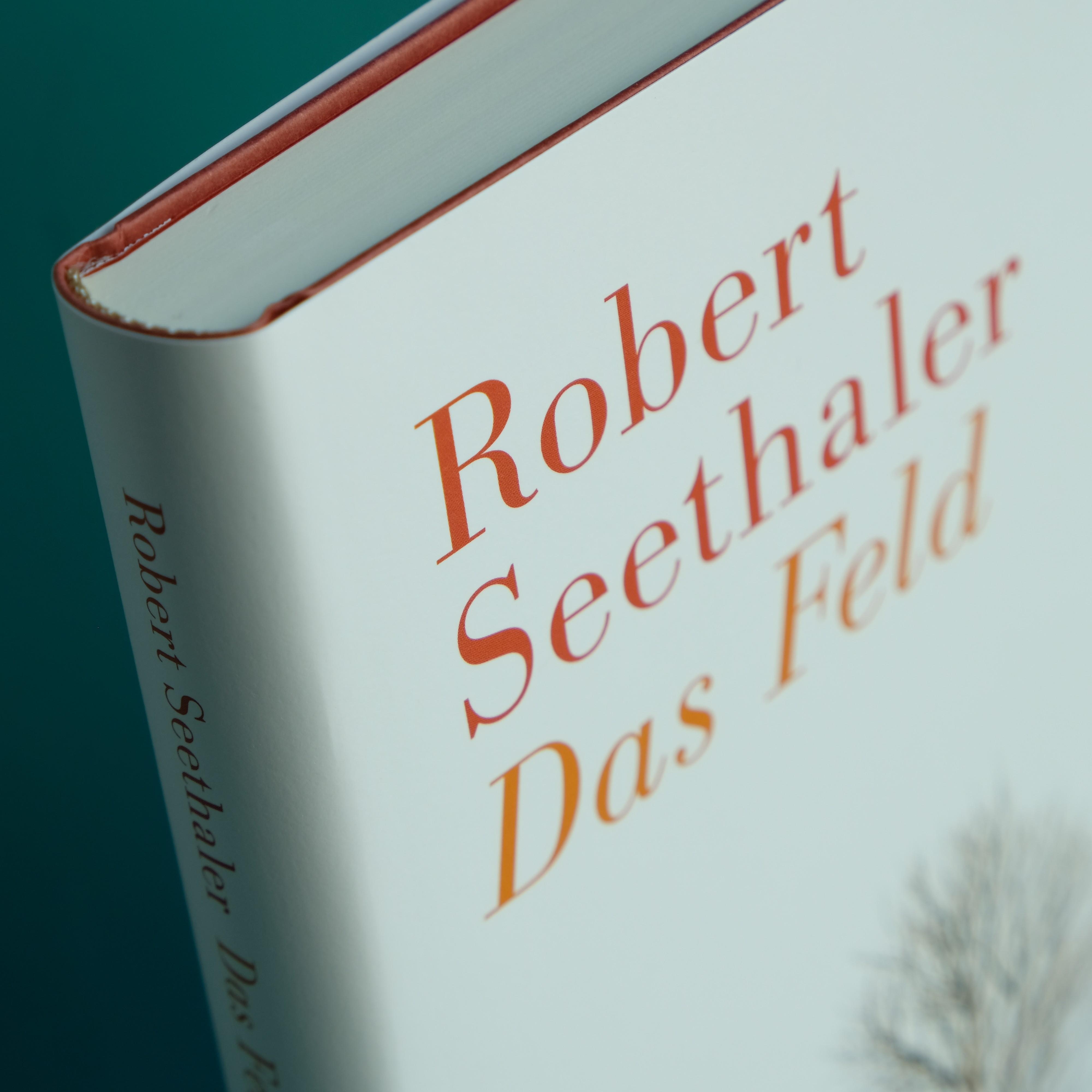 Beispielinhalt (Bild) Das Feld