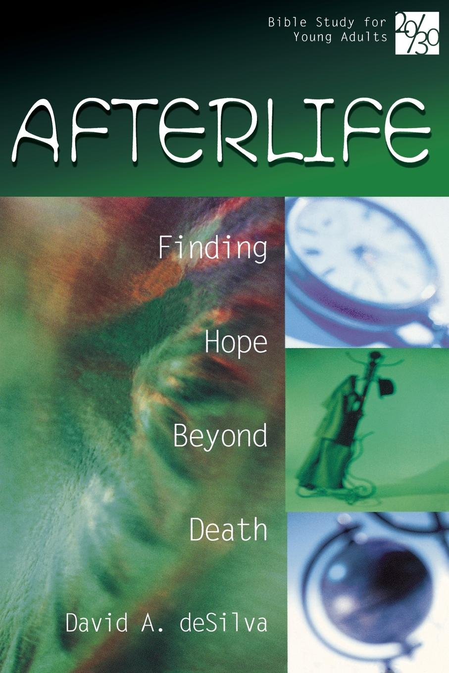 Vorderes Coverbild 20/30 Bible Study for Young Adults Afterlife