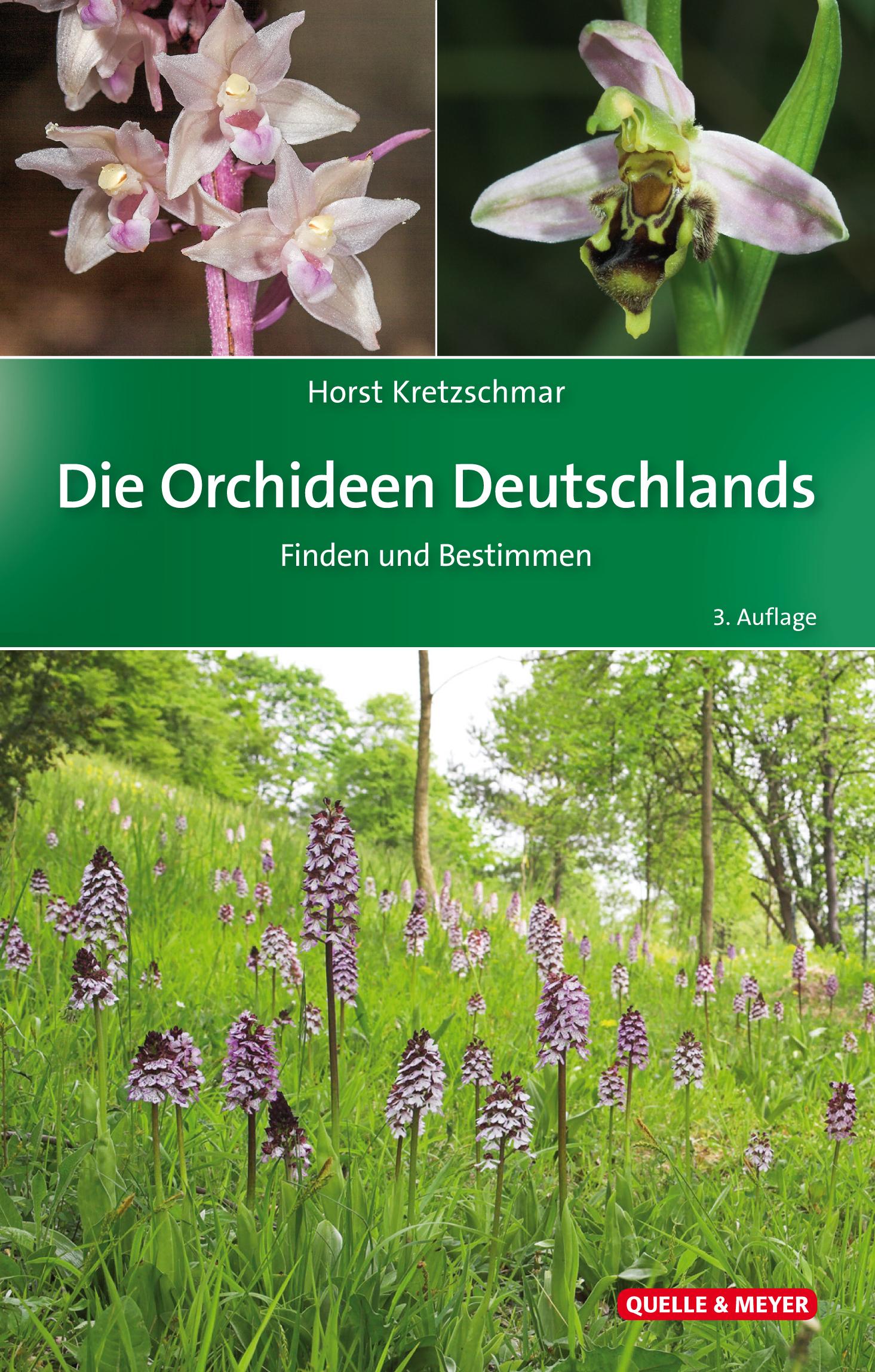 Vorderes Coverbild Die Orchideen Deutschlands
