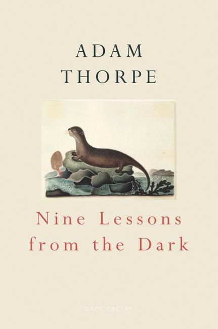 Vorderes Coverbild Nine Lessons from the Dark
