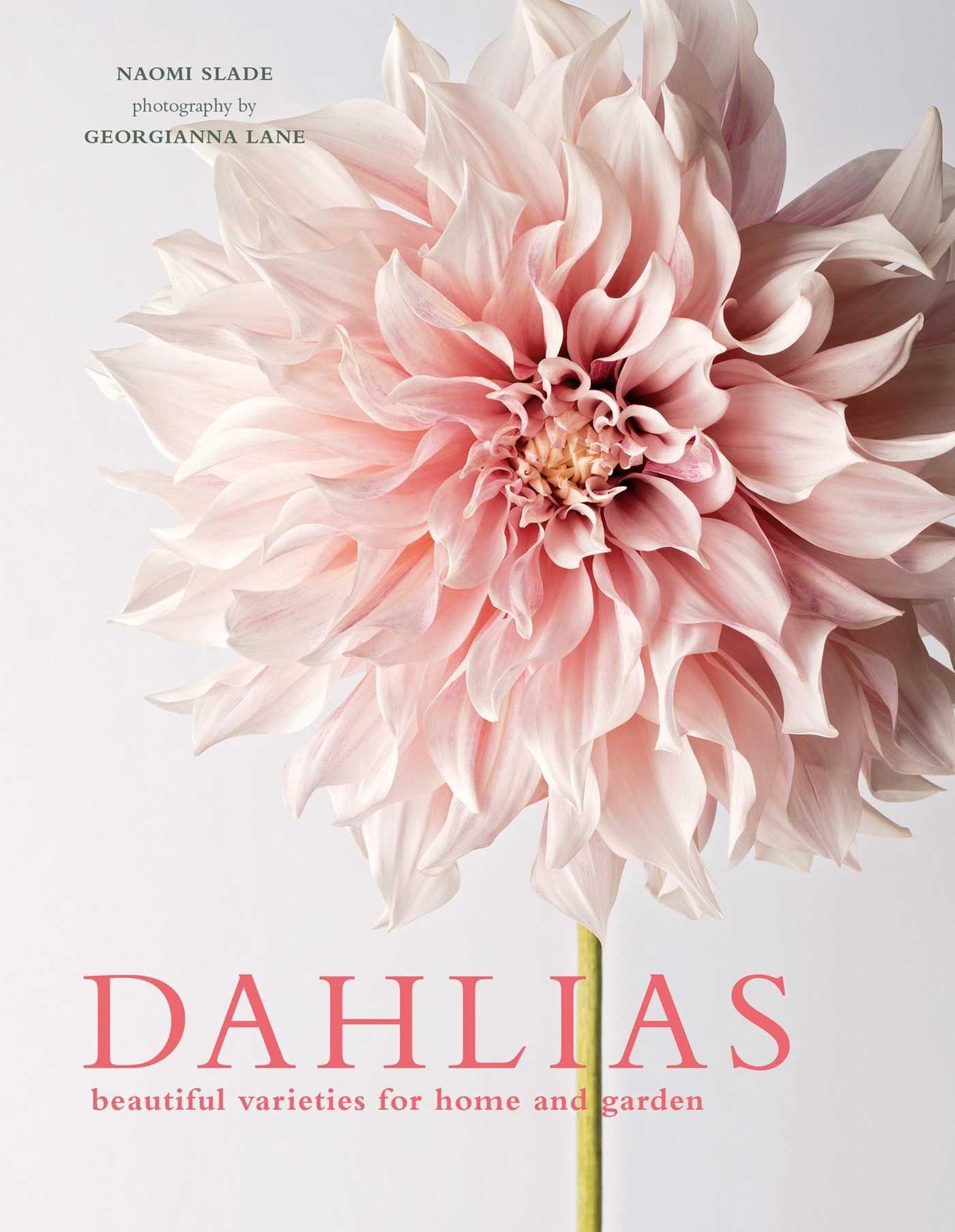 Vorderes Coverbild Dahlias