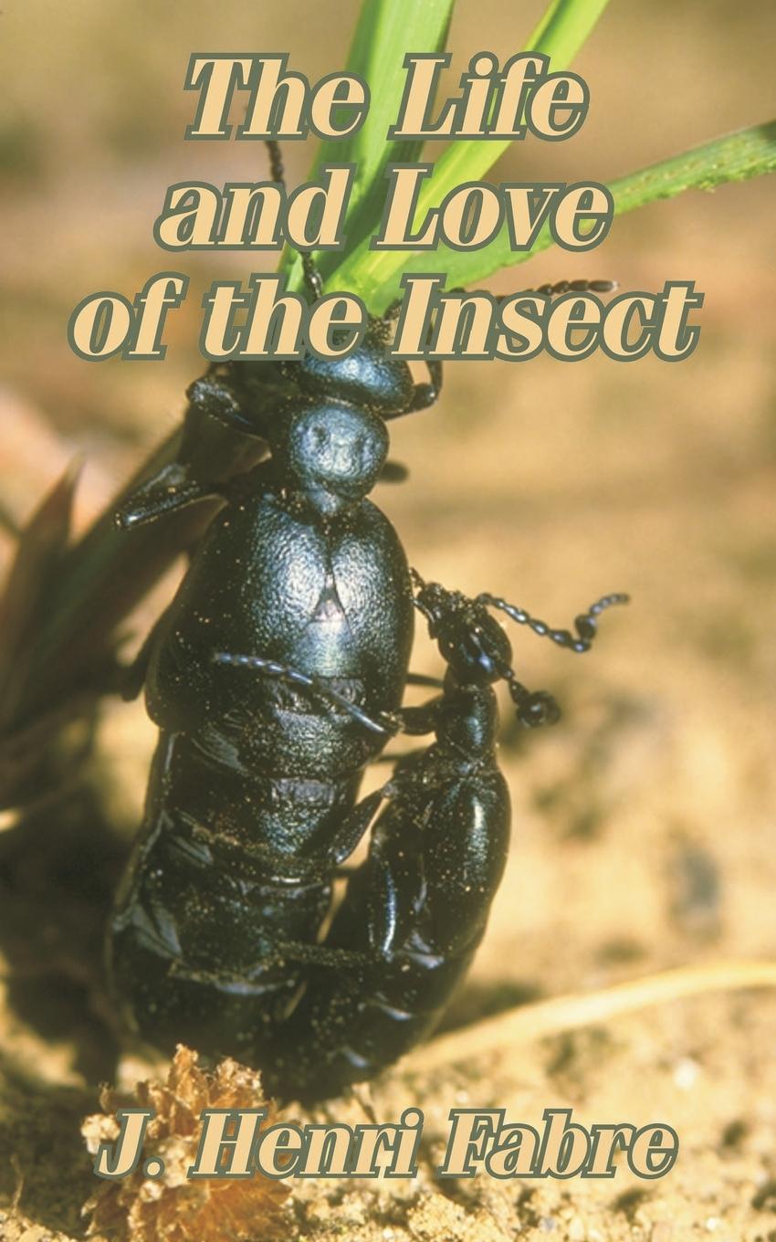 Vorderes Coverbild Life and Love of the Insect, The