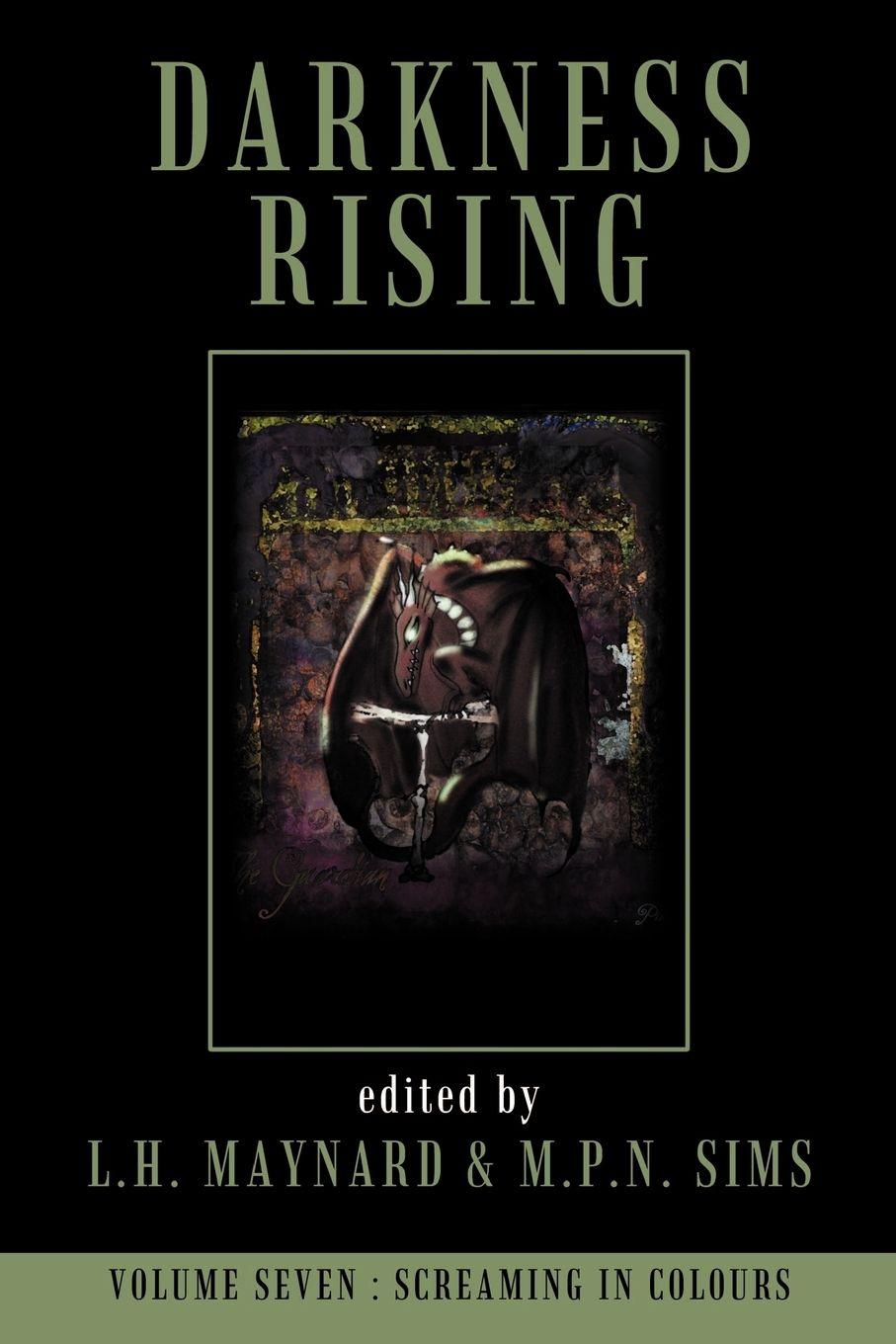Vorderes Coverbild Darkness Rising 7