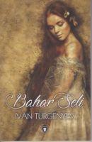 Vorderes Coverbild Bahar Seli