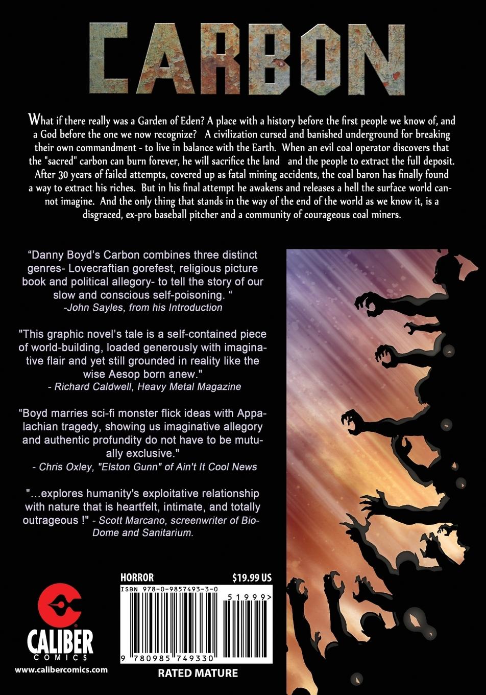 Rückseitencover Carbon