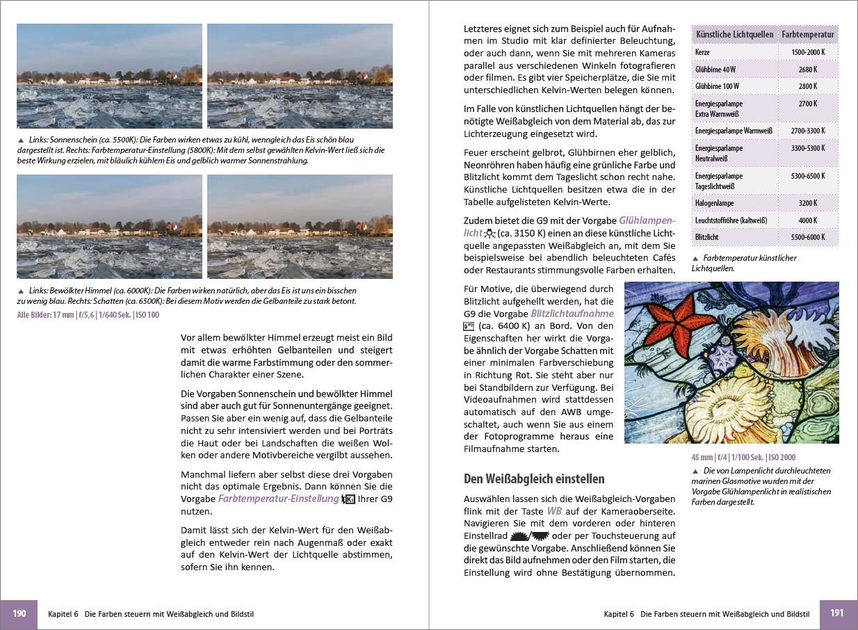 Beispielinhalt (Bild) Panasonic Lumix G DC-G9