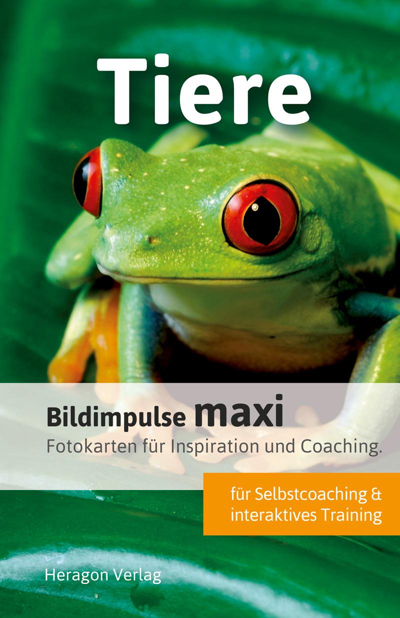 Vorderes Coverbild Bildimpulse maxi: Tiere