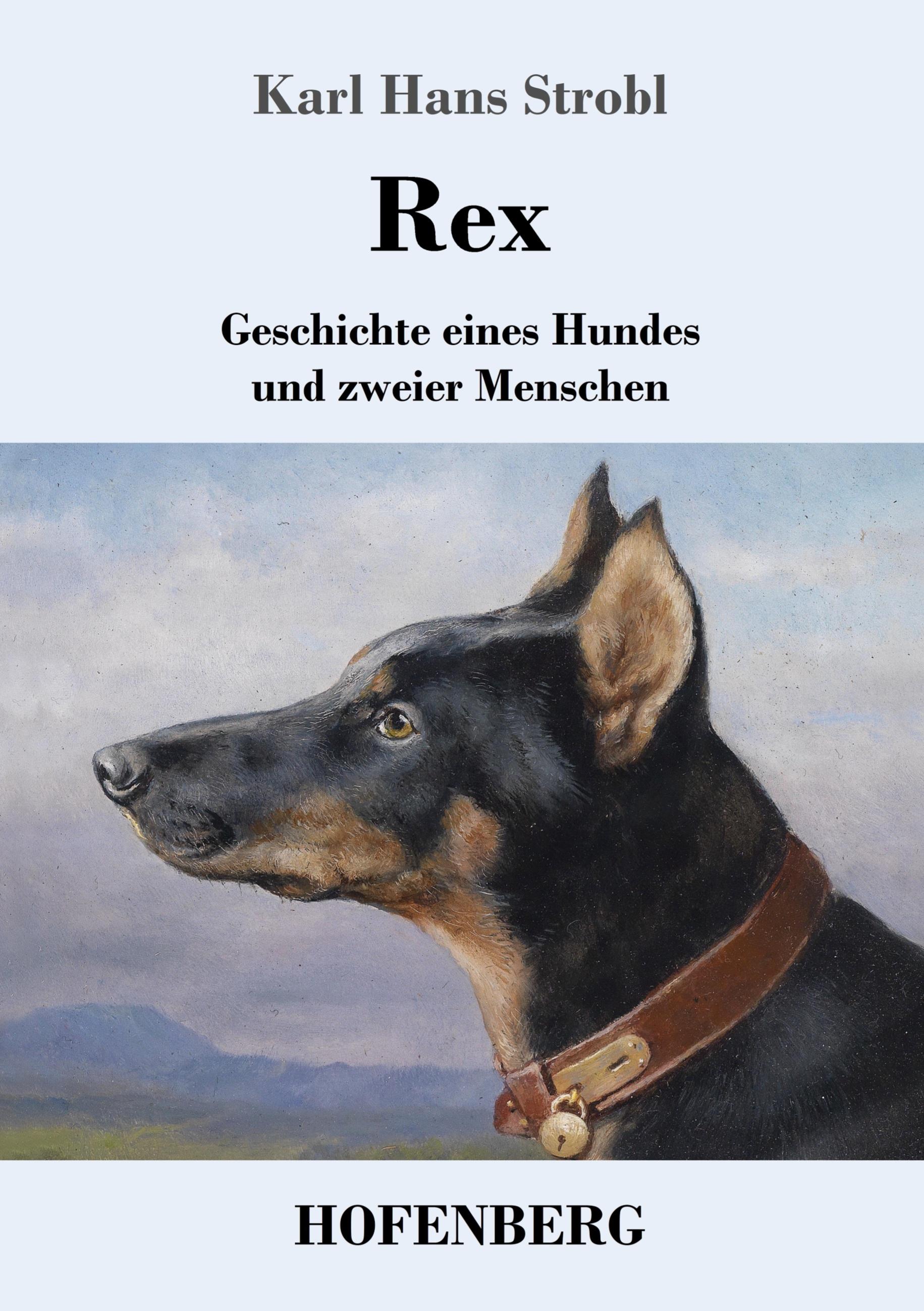Vorderes Coverbild Rex