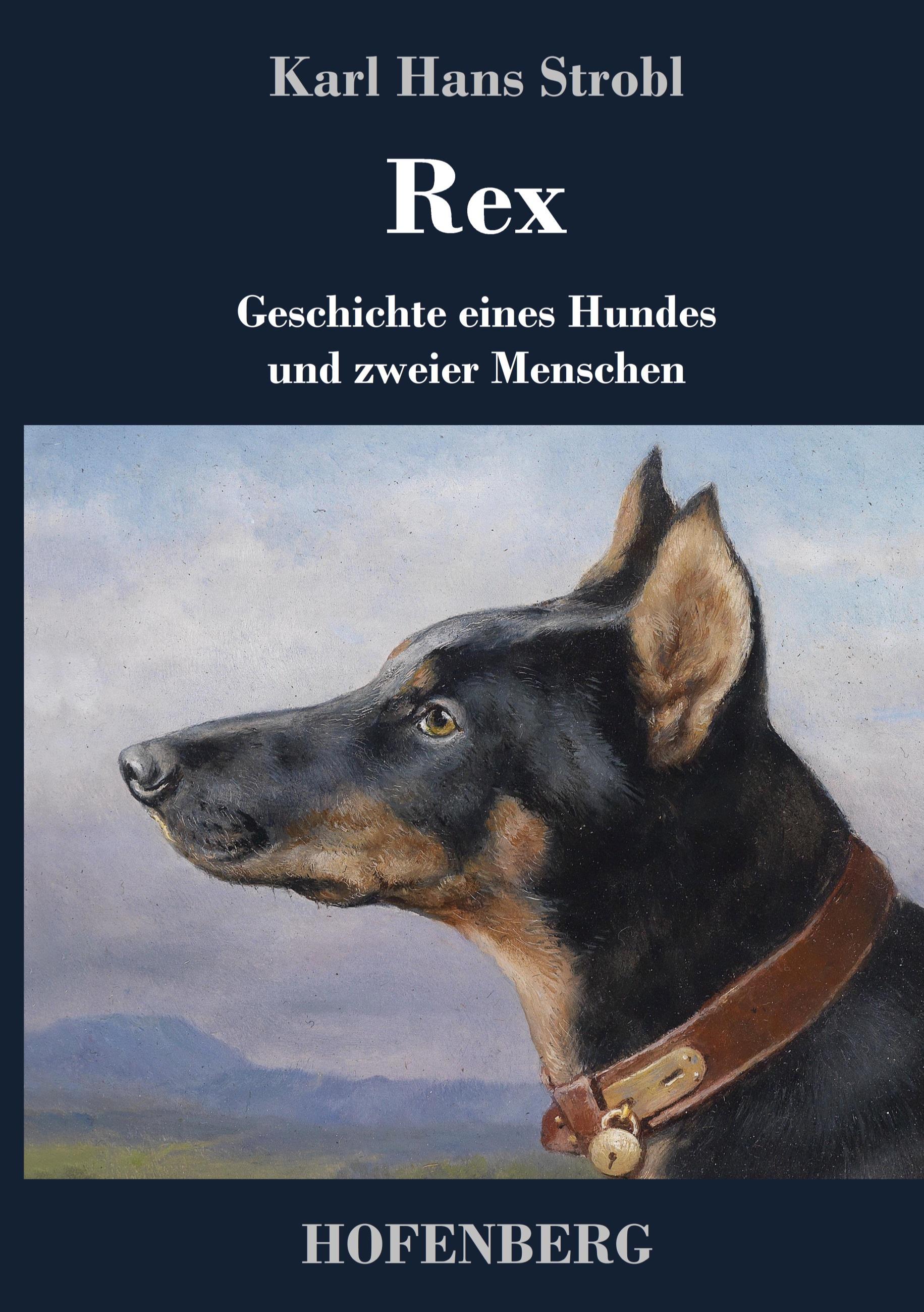 Vorderes Coverbild Rex