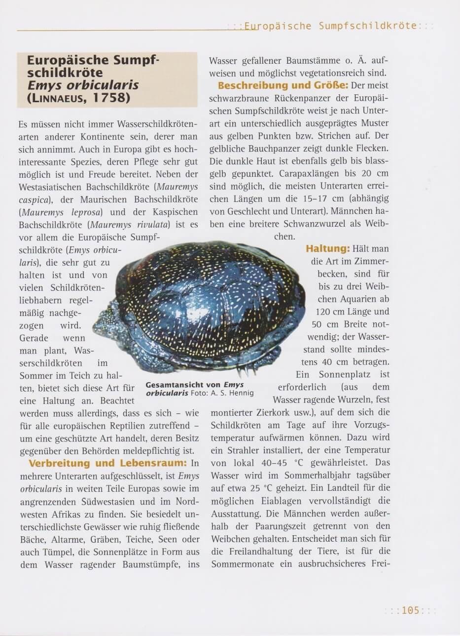 Beispielinhalt (Bild) Haltung von Wasserschildkröten