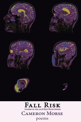 Vorderes Coverbild Fall Risk