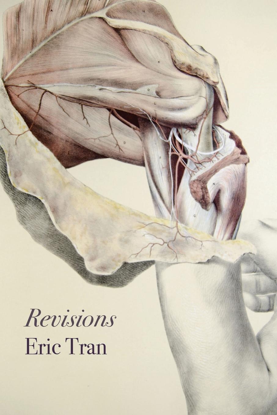 Vorderes Coverbild Revisions