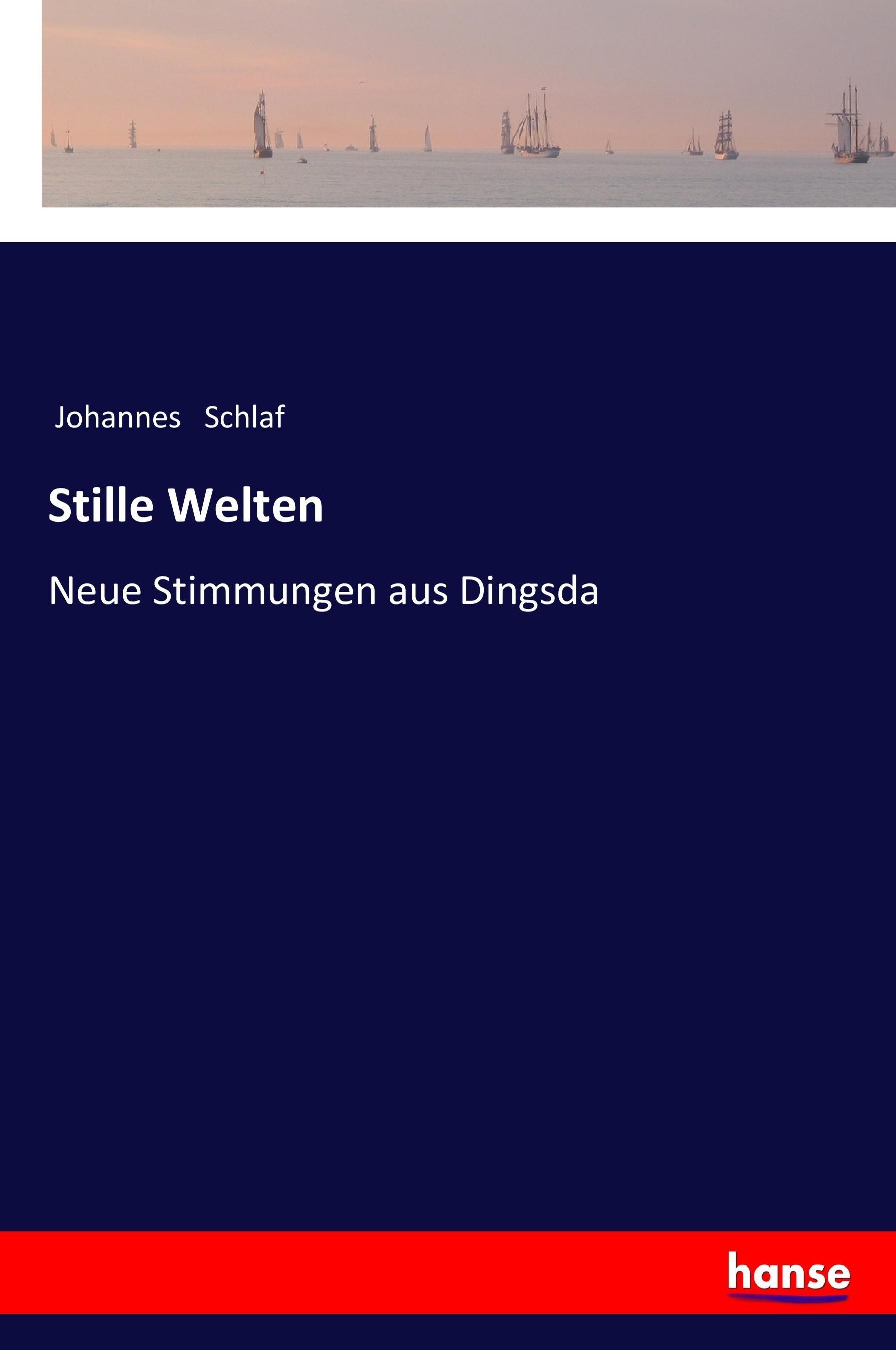 Vorderes Coverbild Stille Welten