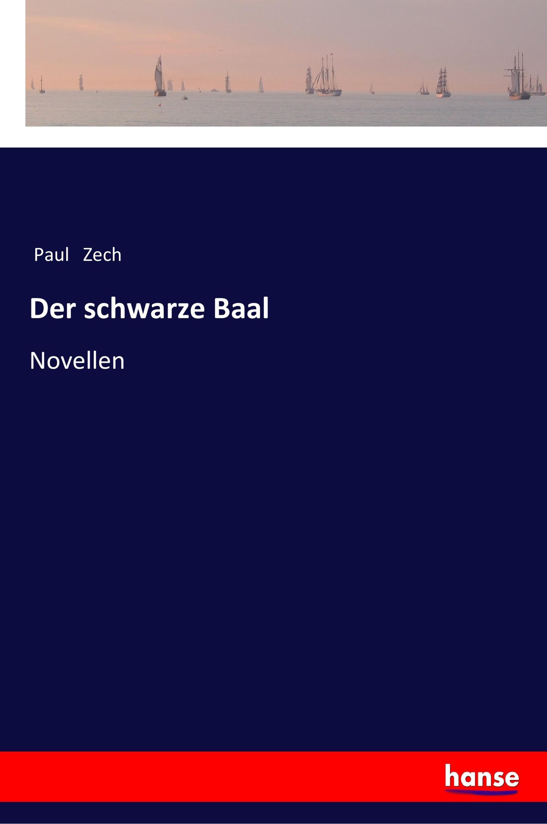 Vorderes Coverbild Der schwarze Baal