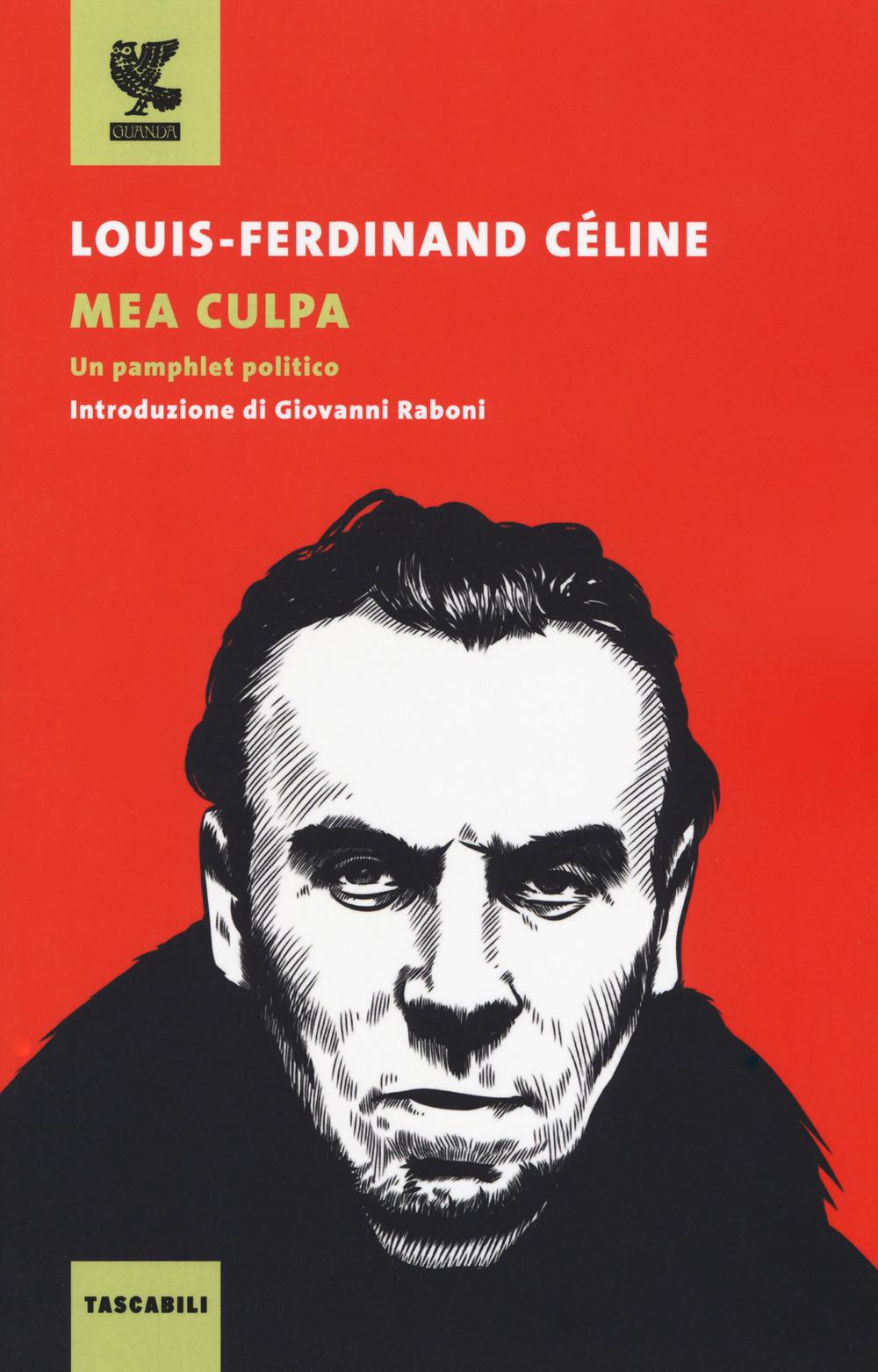 Vorderes Coverbild Mea culpa