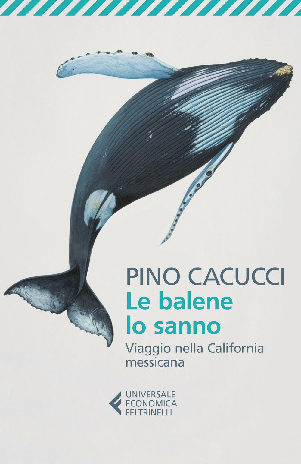 Vorderes Coverbild Le balene lo sanno. Viaggio nella California messicana
