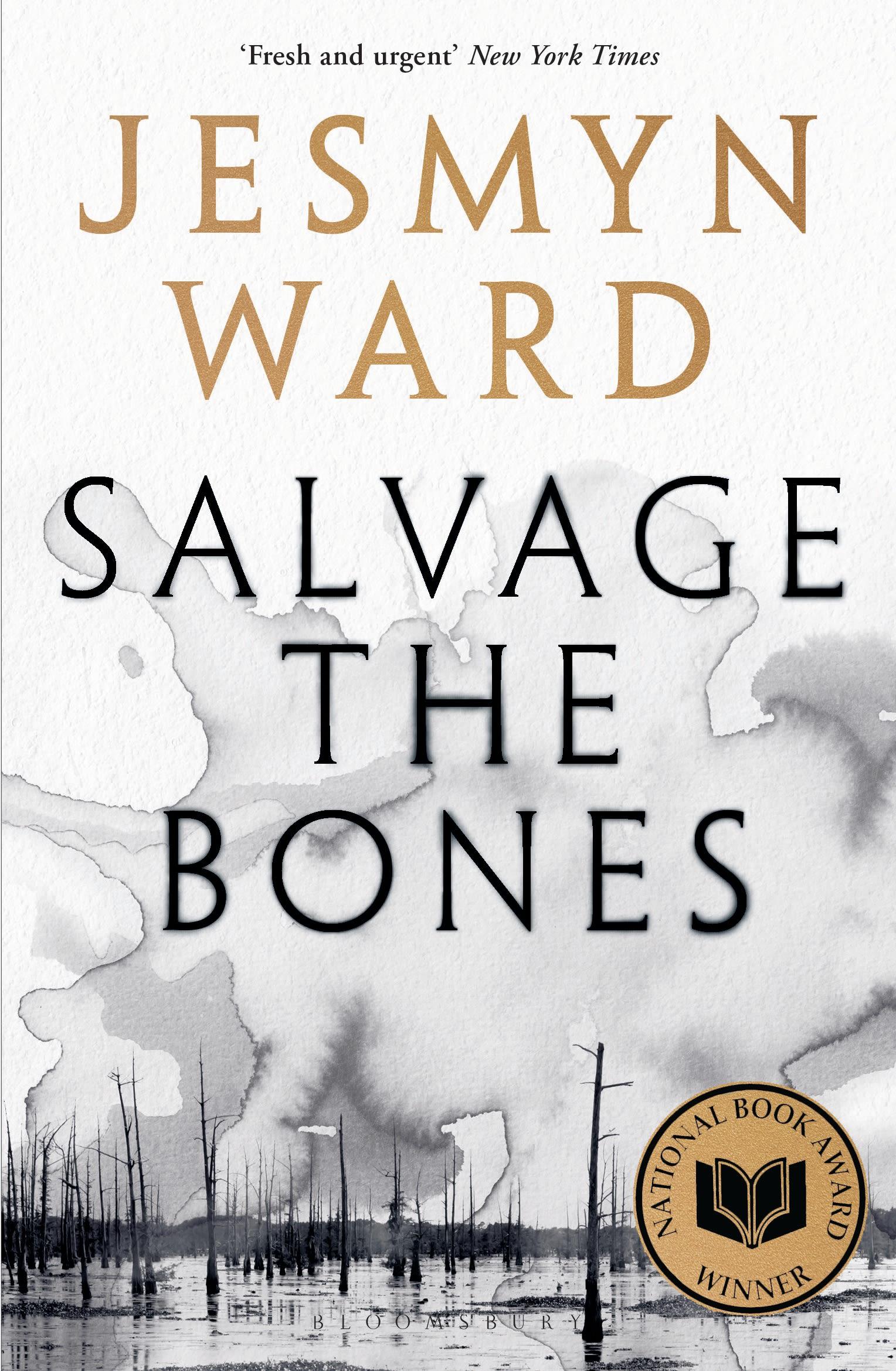 Vorderes Coverbild Salvage the Bones
