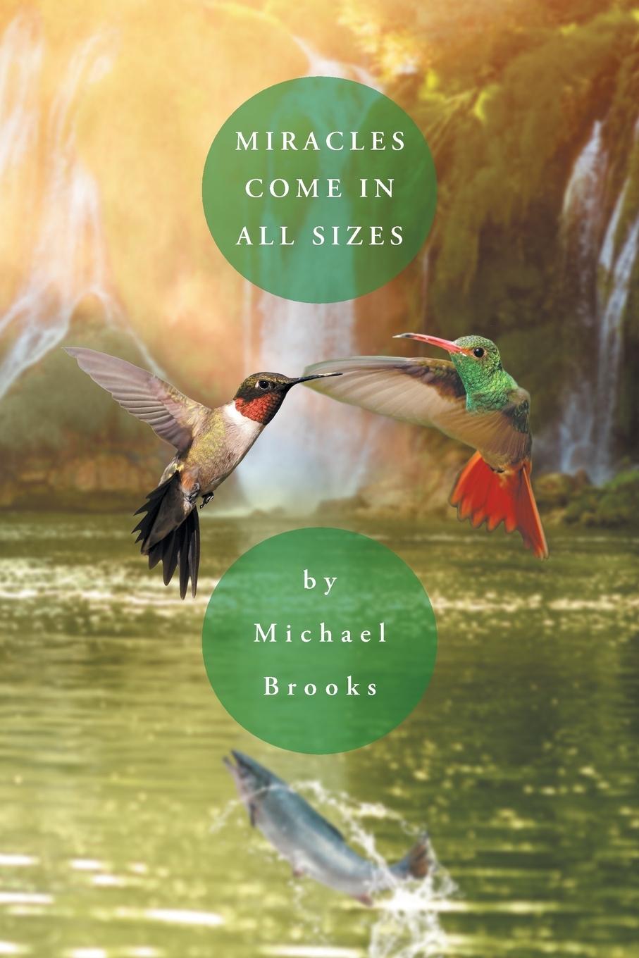 Vorderes Coverbild Miracles Come in All Sizes