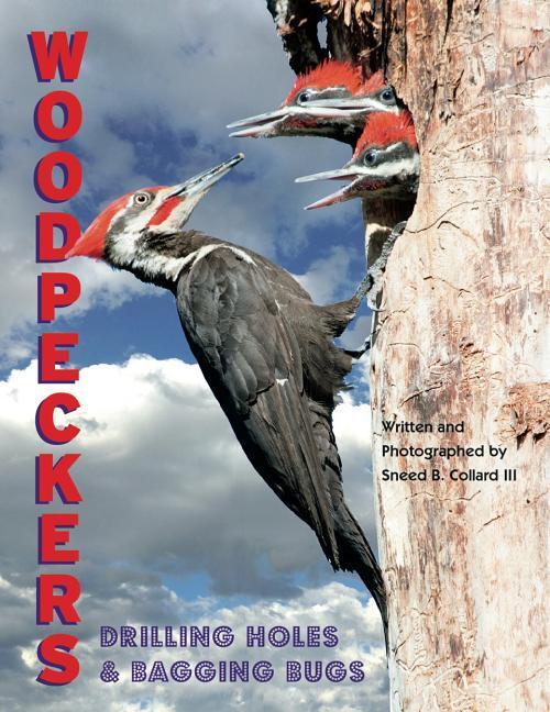 Vorderes Coverbild Woodpeckers: Drilling Holes and Bagging Bugs